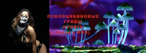 apvp Заволжск