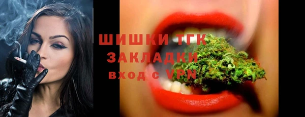 стаф Каменка