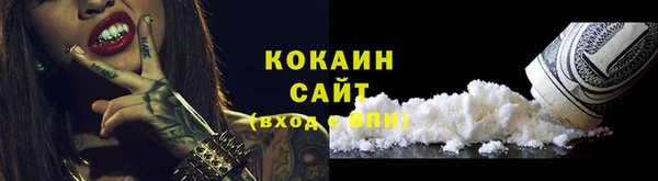 стаф Каменка