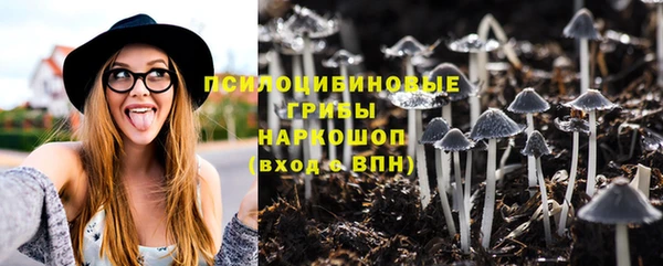 СК Инта