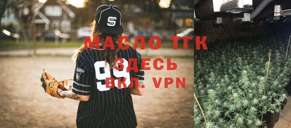 стаф Каменка