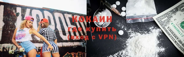 стаф Каменка